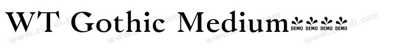 WT Gothic Medium字体转换